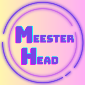 MeesterHead