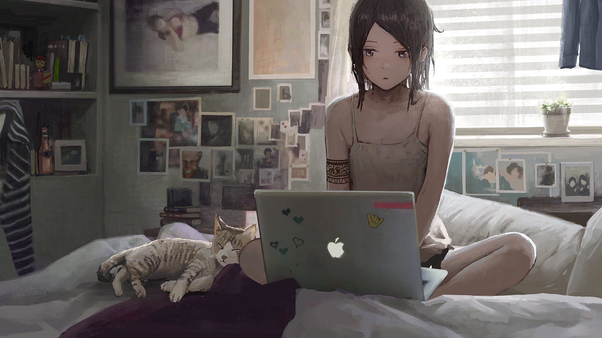 aiccy Offline Background