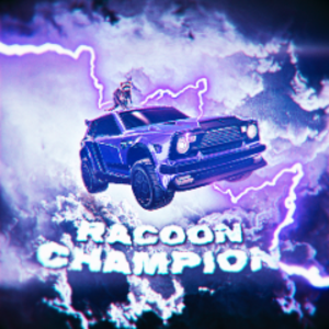 racoonchampionvt