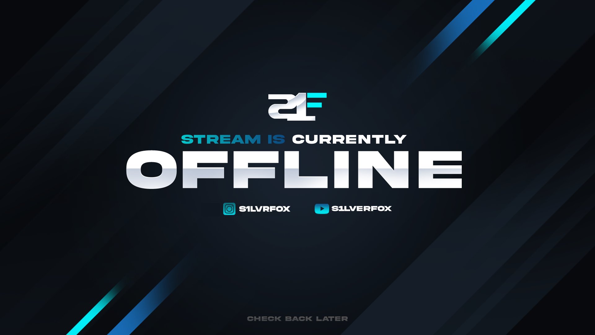 s1lverFoX Offline Background