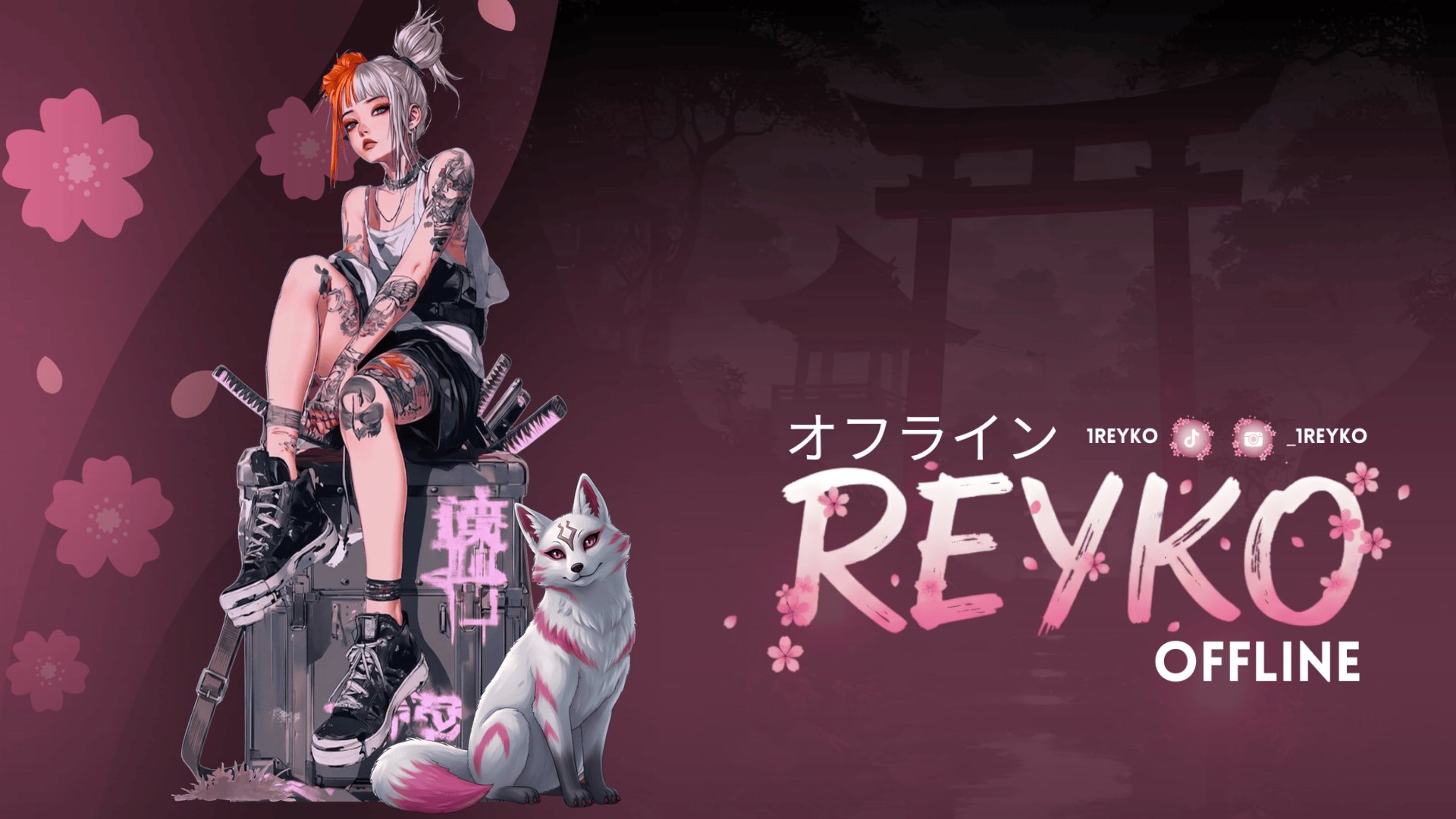 1Reyko Offline Background