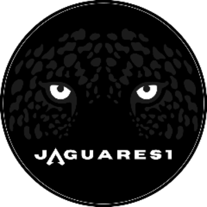 jaguares1 Offline Background