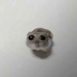 twitch_13ru