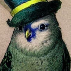 AntiBirdNemesis