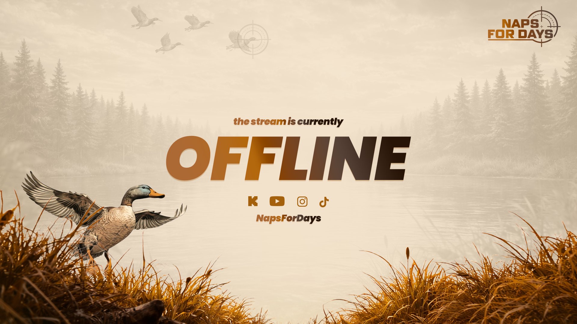 NapsForDays Offline Background