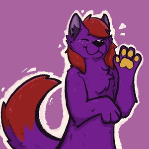 nakshthefoxx