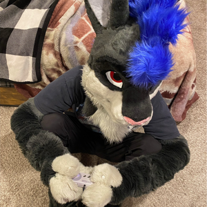Thrash_Bun