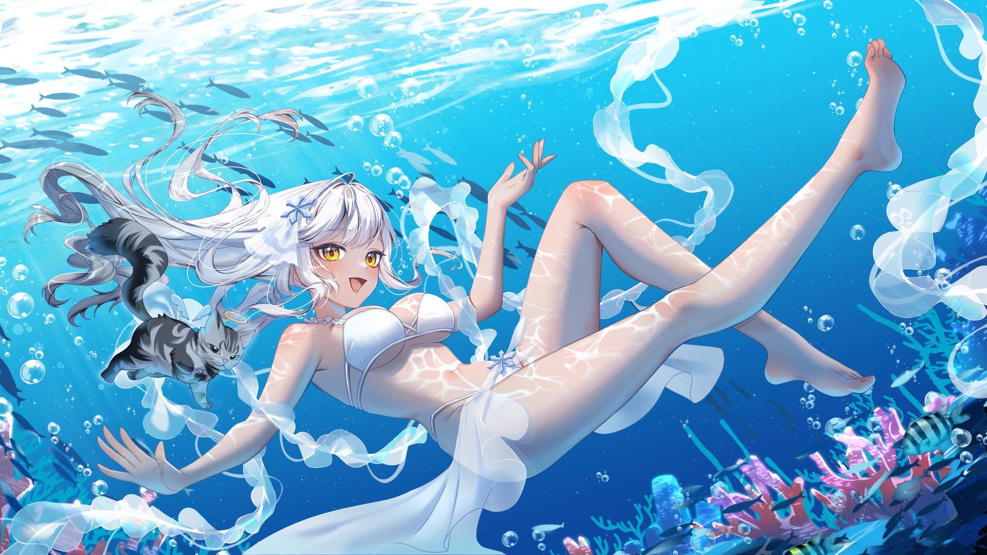 蕾妮斯諾伊 Offline Background