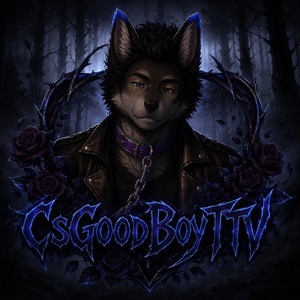 CsGoodBoyTTV