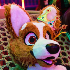 ThyCorgiKing