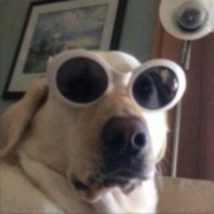 mememonni