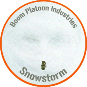 bpi_snowstorm