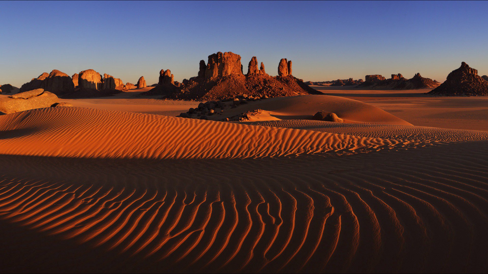 DesertCat Offline Background