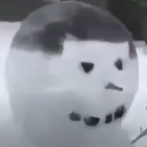 Frosticuss
