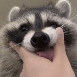 goofy_stitches