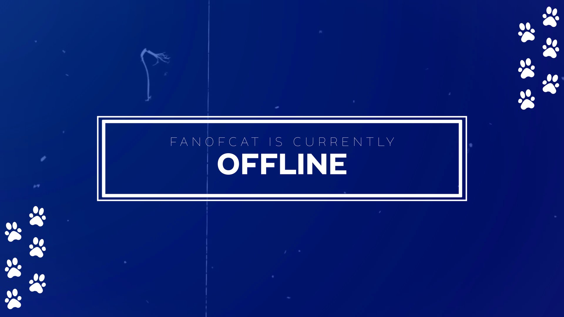 Fanofcatt Offline Background