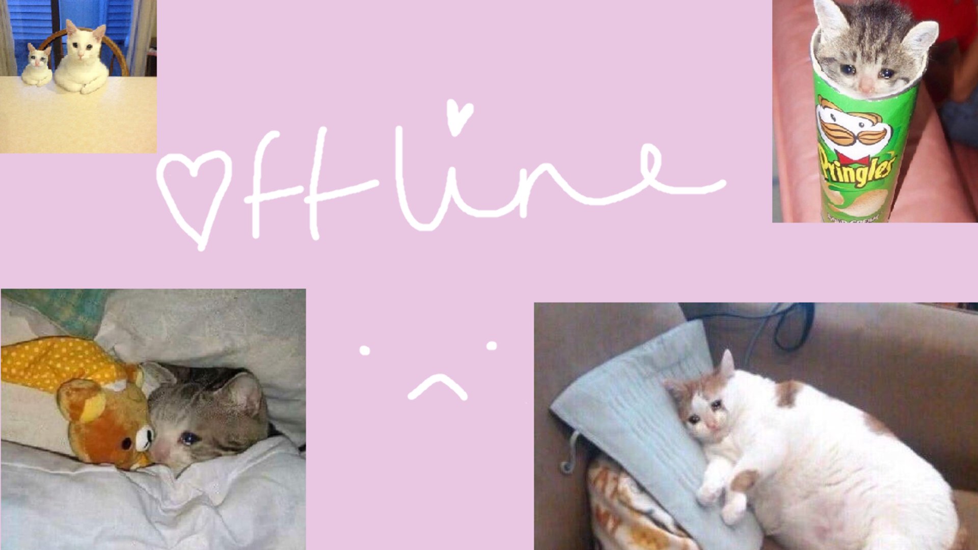 allykitti Offline Background
