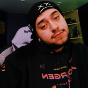 dnvn_lpz