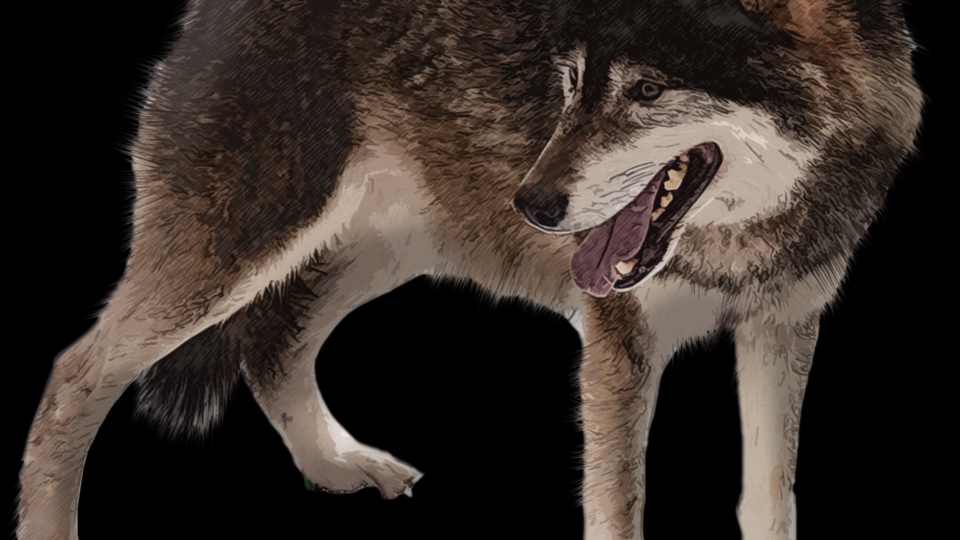 Papa_Canis Offline Background
