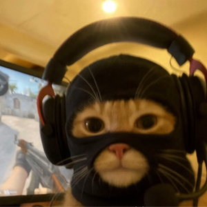 kiki_skrtt
