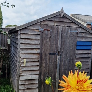 pokershed