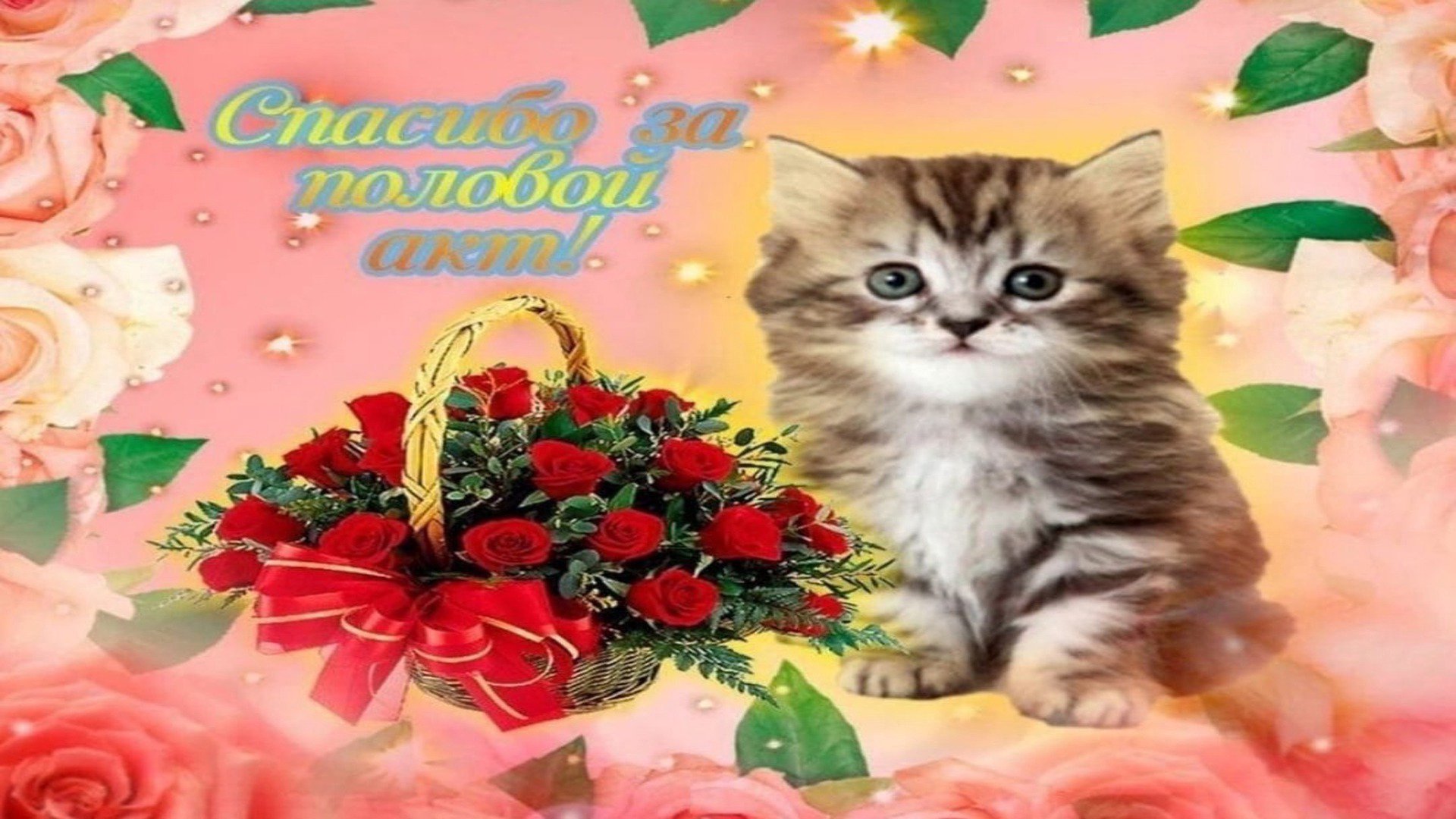 sosavnaaa Offline Background