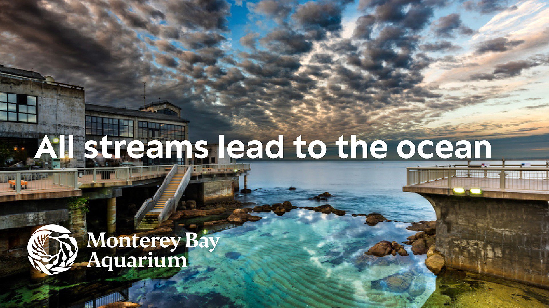MontereyAq Offline Background