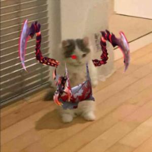 genq_exe