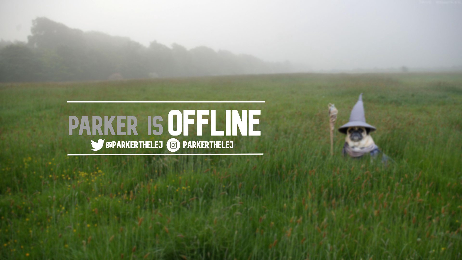 Parker Offline Background