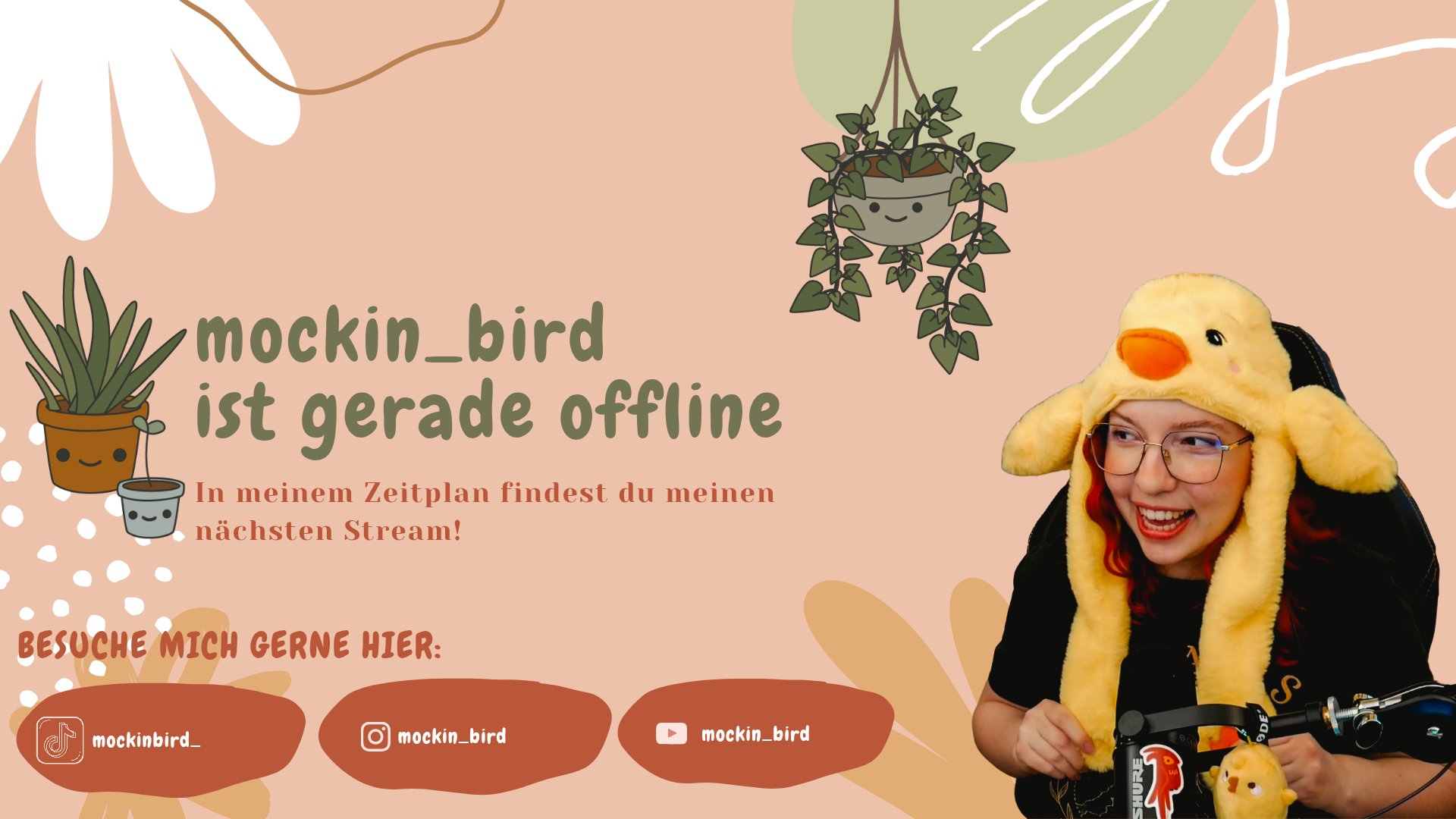 mockin_bird Offline Background