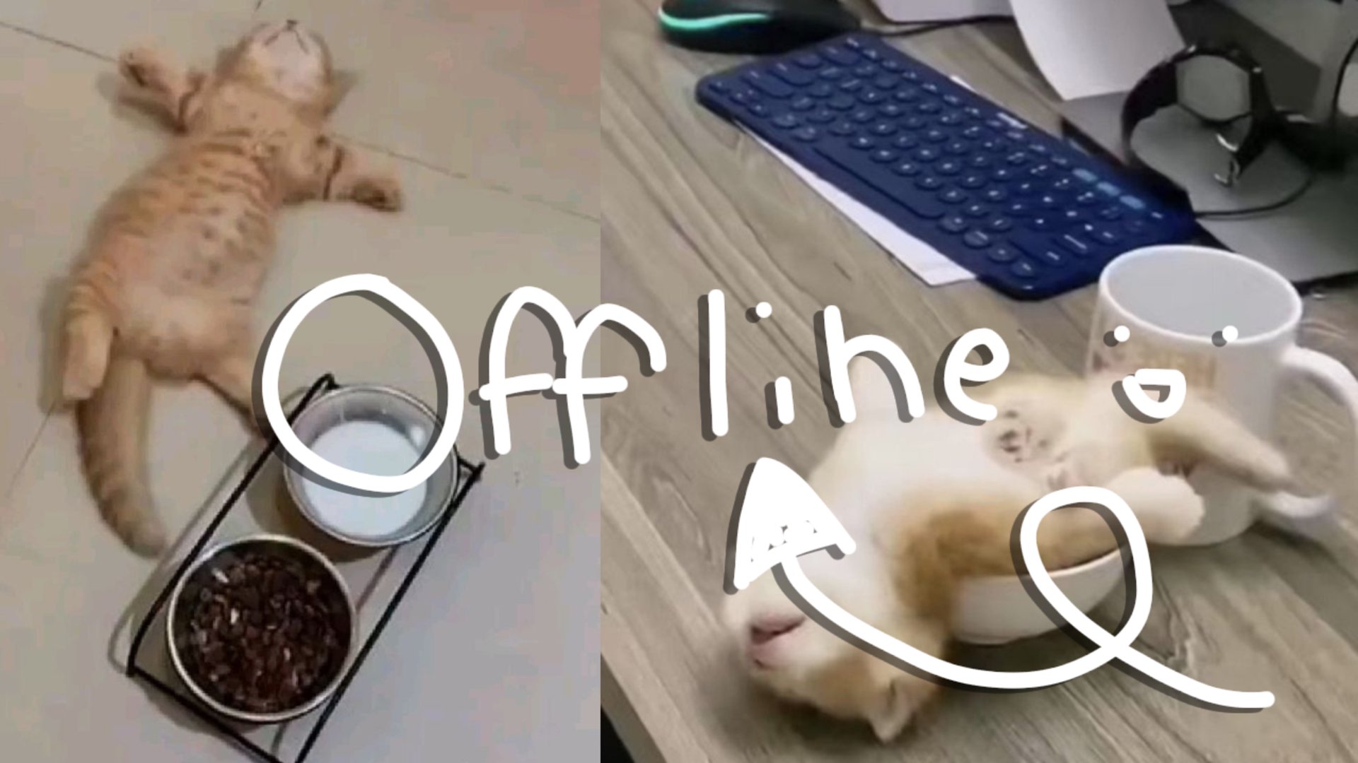 Mawsnt Offline Background