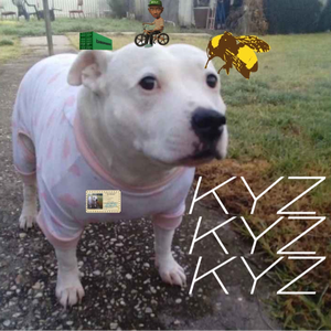 KYZ_KYZU