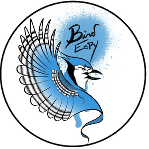 Birdespy41