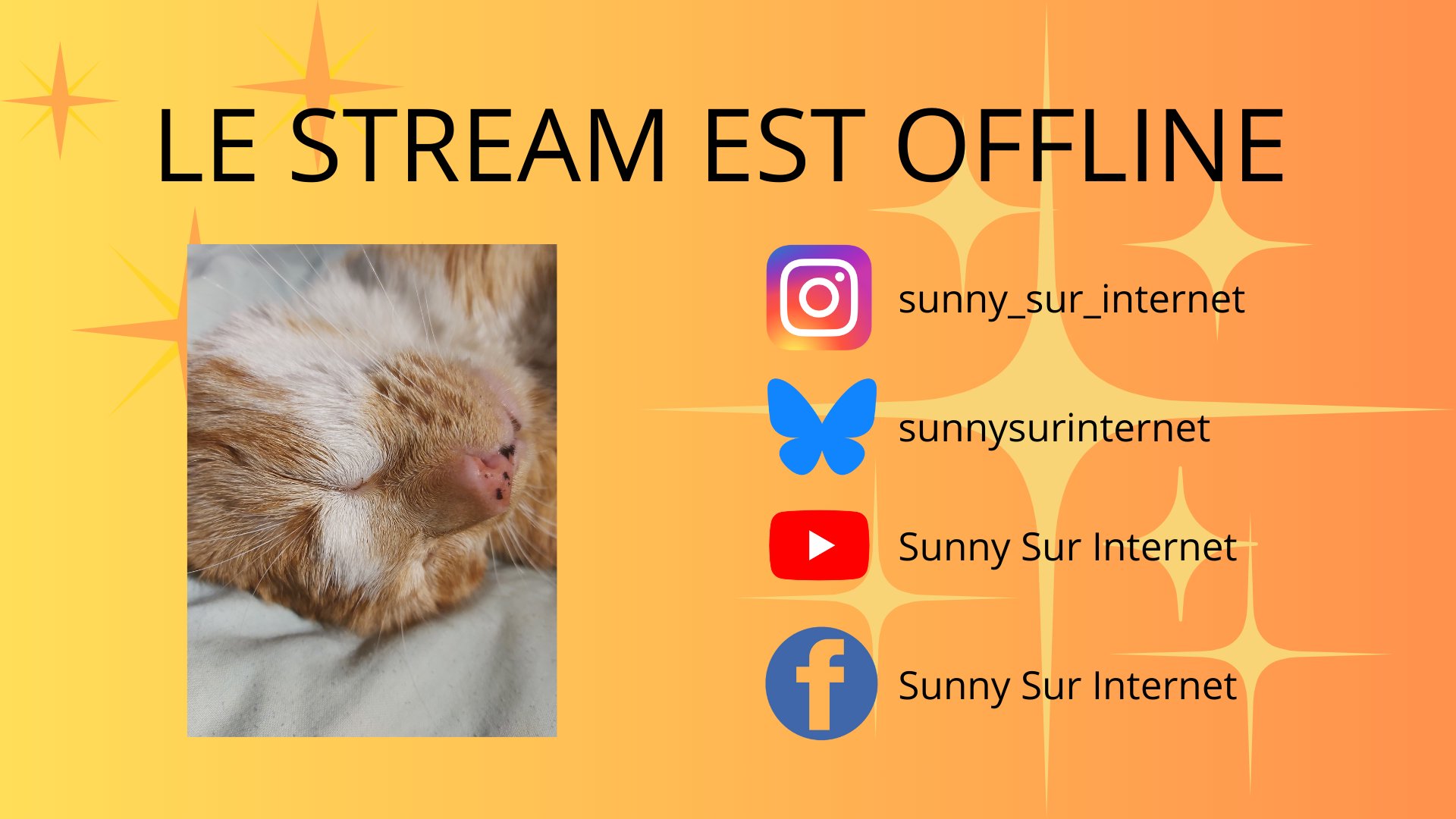 SunnySurInternet Offline Background