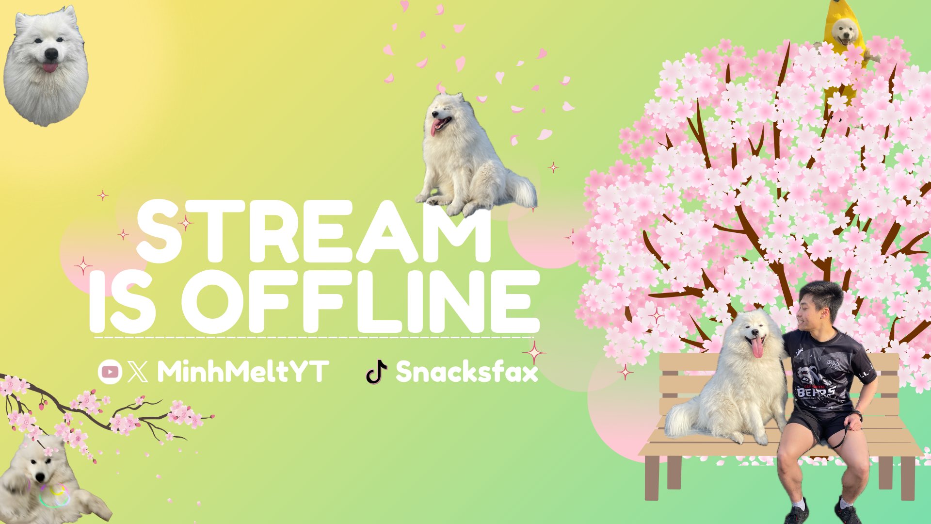 MinhMelt Offline Background