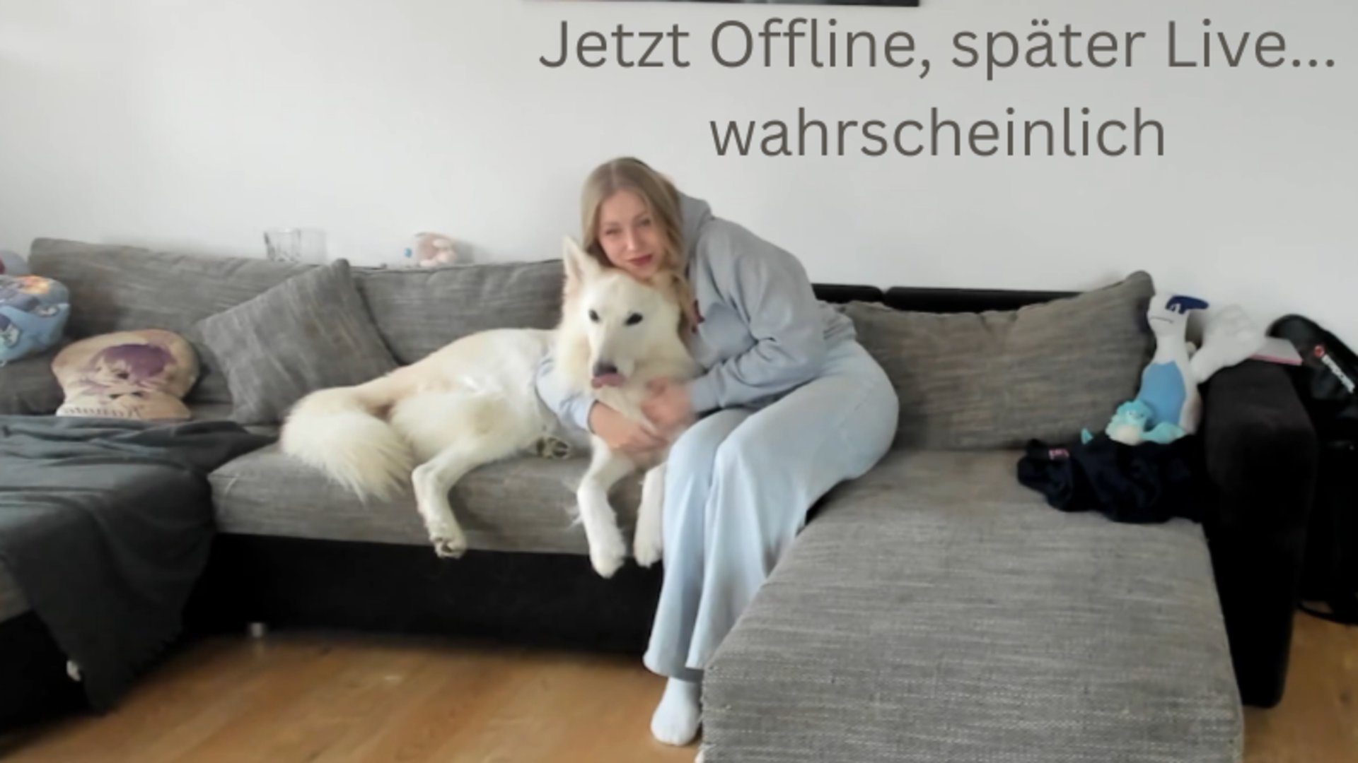 schmaentha Offline Background