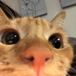 lookatkacper__