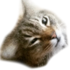 ItBMike