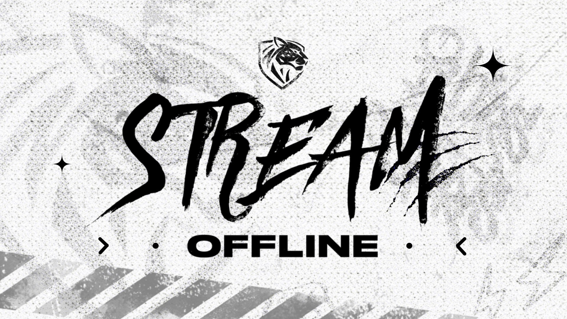 Ilbirs_Esports Offline Background