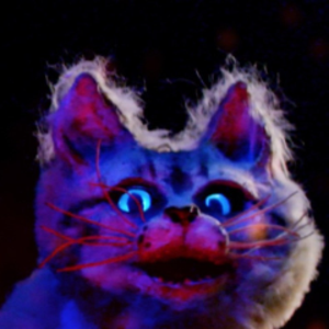 xXpeHoToH