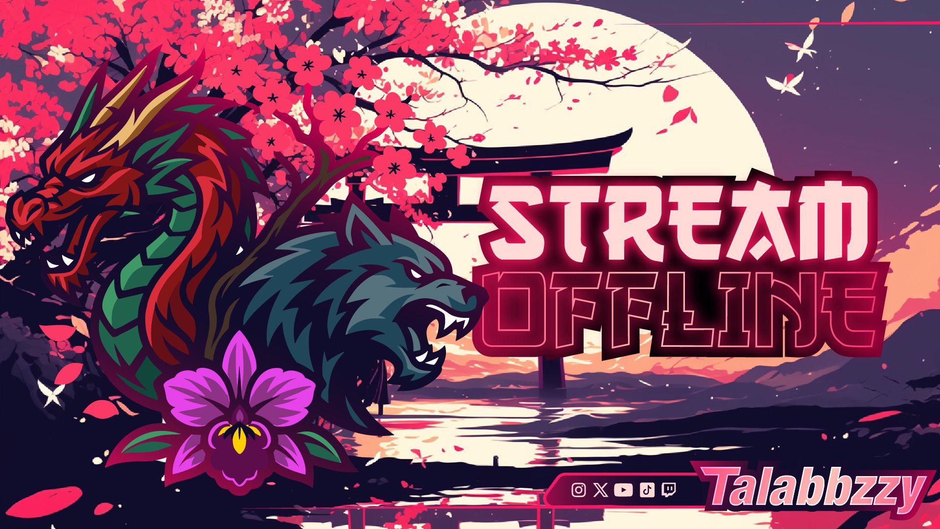 talabbzzy Offline Background