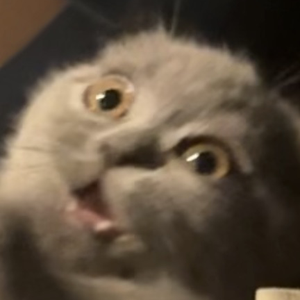 ActualPie