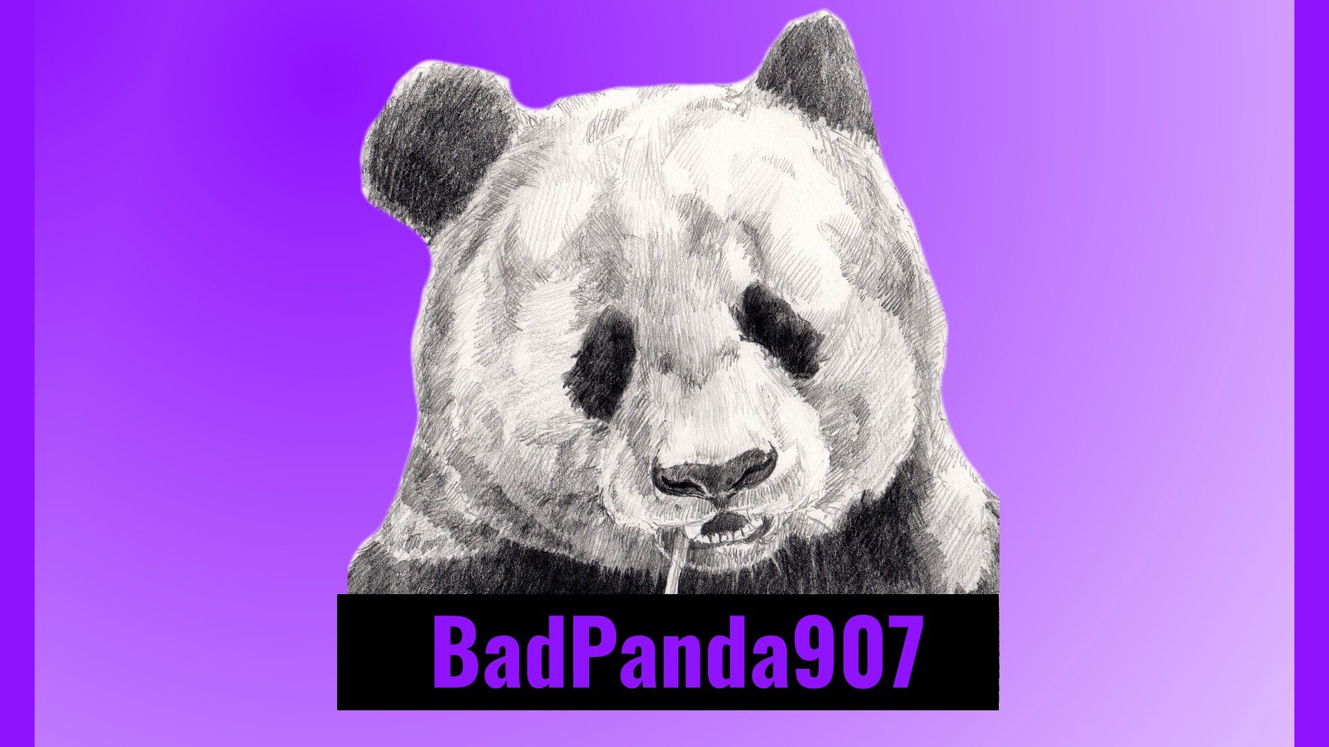 BadPanda907 Offline Background