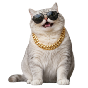 xl3biz