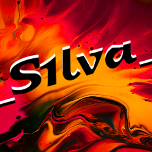 12_s1lva_21
