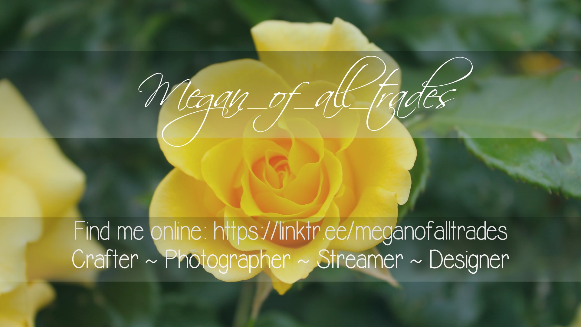 megan_of_all_trades Offline Background