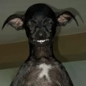 cirilinho777