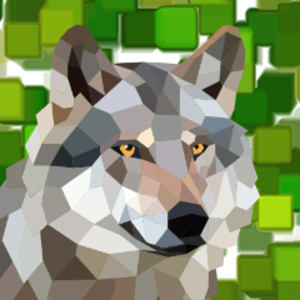 LilCrazyWolf