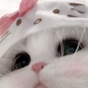 HanaPuff