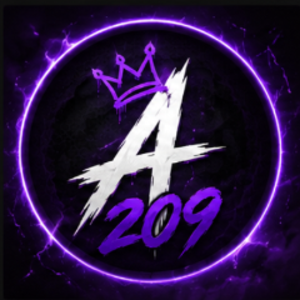 asik209